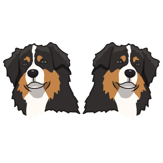 SignMission D-Australian Shepherd 6 in. Autocollant de Chien Super Mignon - Berger Australien - Pack de 2