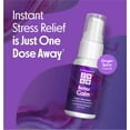 Which Is Better For Anxiety Ashwagandha Or Gaba 2x4 Better Calm Liposomal Stress Relief Supplement with Ashwagandha