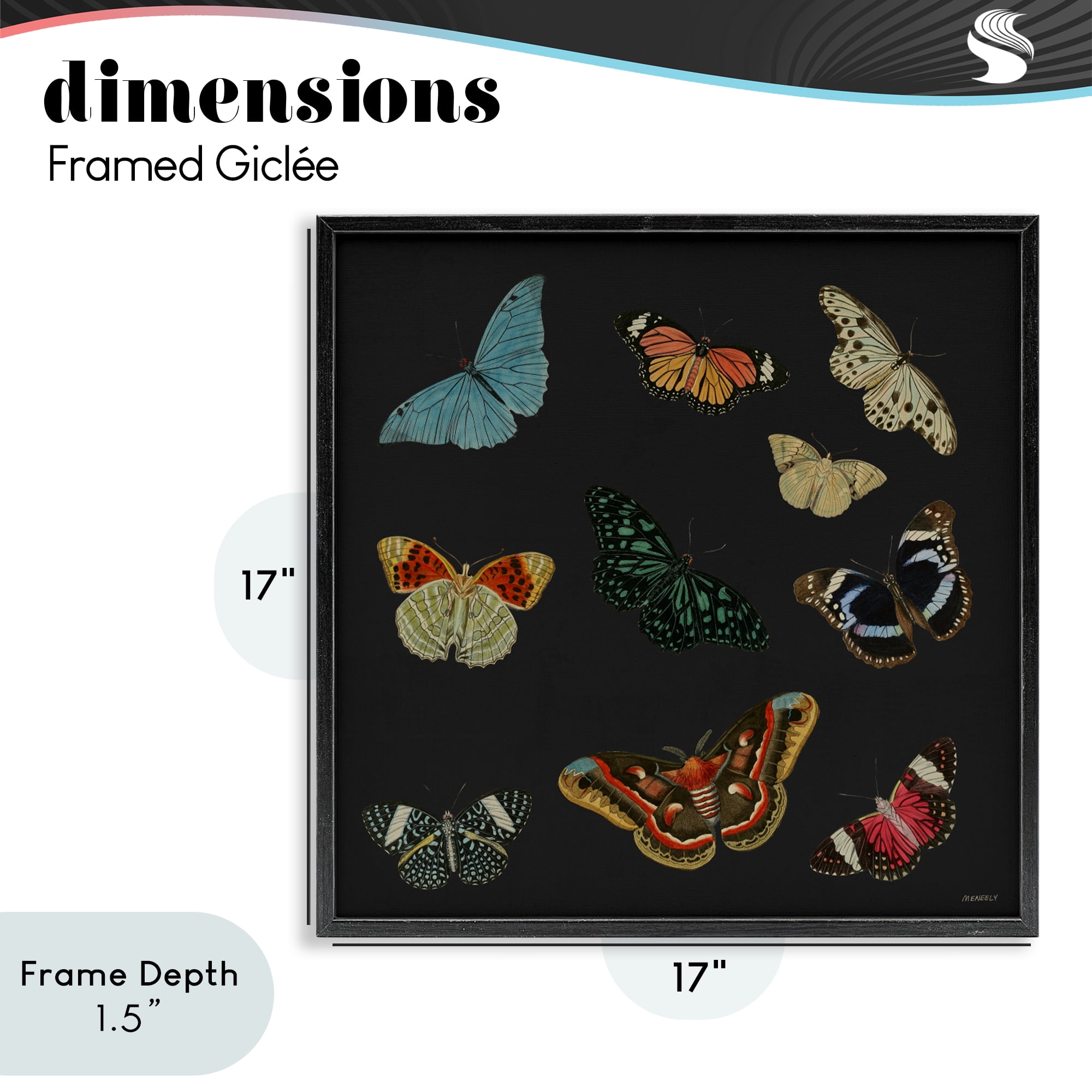 Stupell Industries Insects Group on Black Black Framed Giclee Art, design by Dan Meneely