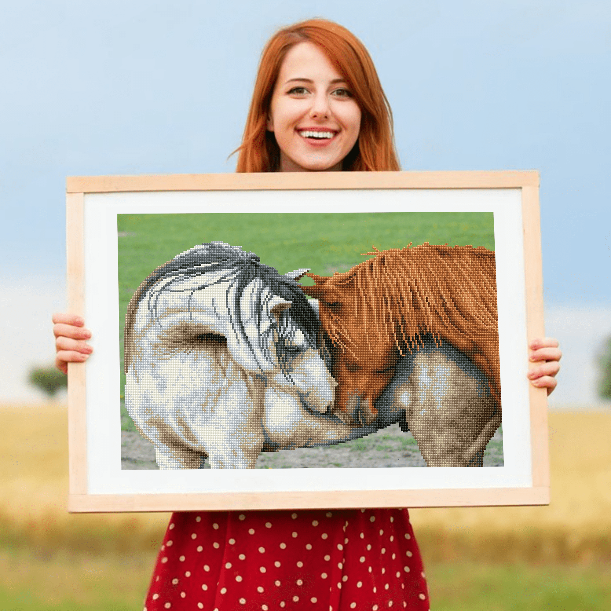 Diamond Dotz Courtship Horse Diamond Painting Kits for Adults - Diamond Art Kits a Relaxing Creative Craft Kit with Dotz Gems  17.7"x24.4"