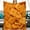 Cheese Cracker, variant on 3D Funny Realistic Food Fried Bacon Flannel Fleece Throw Blankets 50"X40" Soft Cozy Fluffy Winter Fall Blanket Cozy Soft Fuzzy Plush Home Decor for Couch Bed Sofa Living Room Bedroom