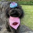 thumbnail image 3 of Pet Cap Colorful Photo Props Adjustable Pet Princess Mesh Crown Headdress for Pet Birthday, 3 of 8