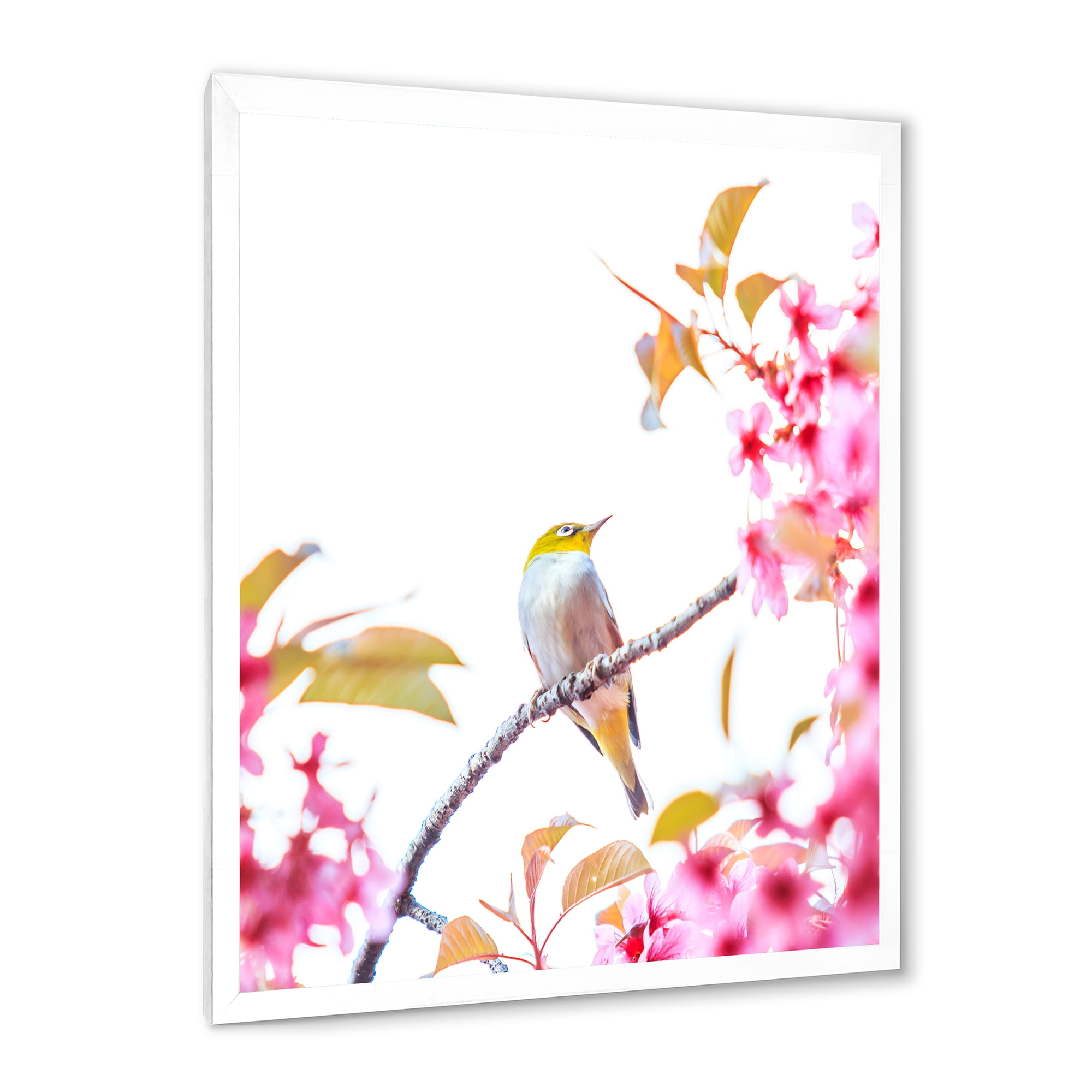 Designart 'Bird Sitting On Cherry Blossom' Traditional Framed Art Print