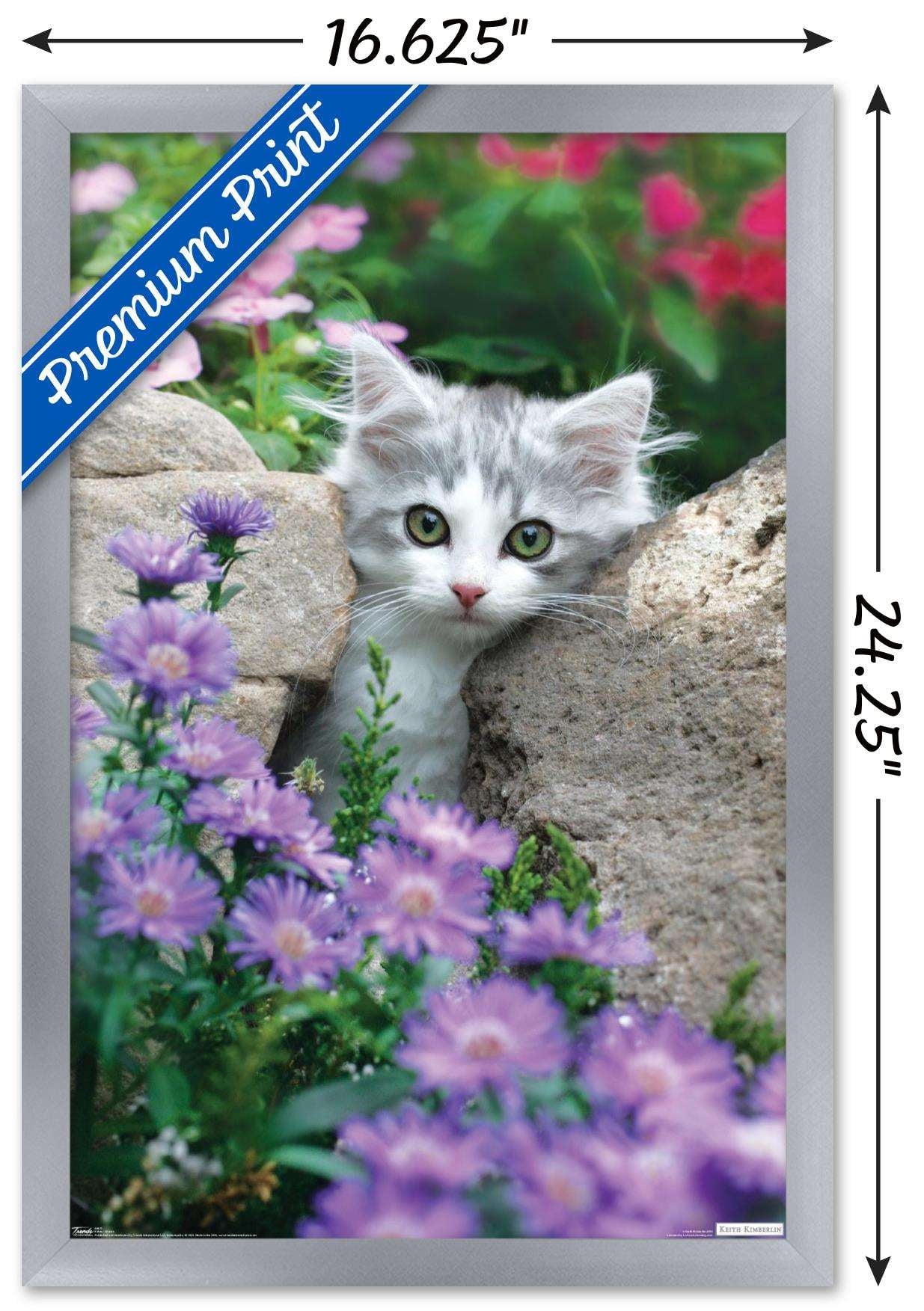 Keith Kimberlin - Kitten - Stones and Flowers Wall Poster, 14.725" x 22.375", Framed