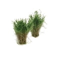 thumbnail image 2 of Maqueta de Tren Baoblaze 4 Piezas Plantas Acuáticas Verde, 2 of 7