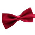 thumbnail image 1 of Songbirdth Bowtie,Bow Tie Solid Color Wear Easily Polyester Adjustable Bow Tie Pre Tied for Formal Occasions, 1 of 6