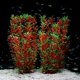 thumbnail image 1 of Plantas de plástico para decoración de acuario, extragrandes, 21 pulgadas, plantas artificiales para peceras, decoraciones altas para peceras (vino, 2 unidades), 1 of 5