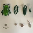 thumbnail image 2 of Bewildely Juguetes de de insectos de batalla, modelo de animales de simulación electrónica, juguete educativo para niños y bebés, Juguetes Educativos Verde, 2 of 6