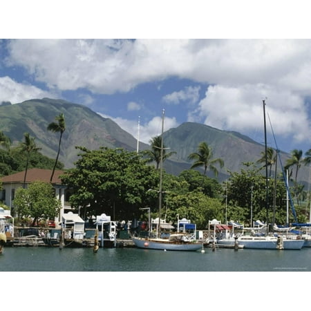 Old Whaling Station Sailing Boats in the Harbour of Lahaina, an Old Whaling Station, West Coast, Hawaii Print Wall Art By Tony Waltham ()