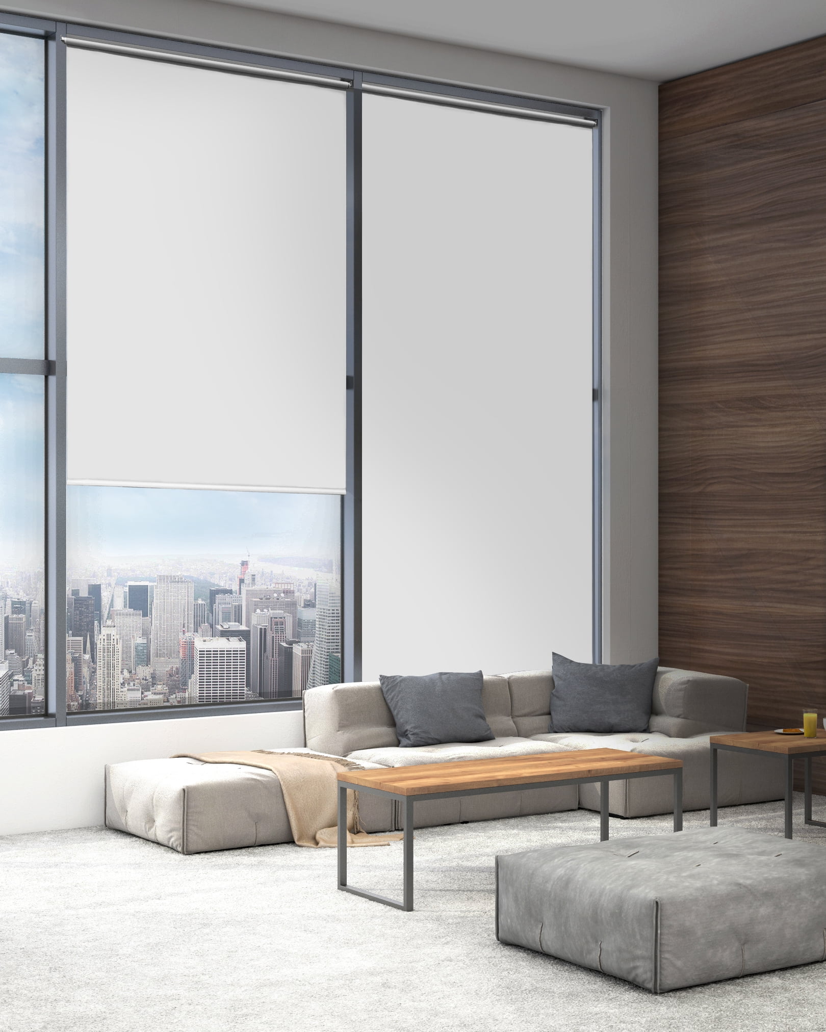 Lumi Blackout Cordless Vinyl Roller Shade, White, 24" x72"