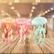 thumbnail image 5 of Modelo de medusas de Modelo de marinas Colección de cognición Modelo biológico marino Ciencia Figuras blandas Juguetes Cumpleaños 3 piezas Sunnimix Medusa simulada, 5 of 8