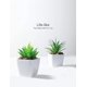 thumbnail image 2 of Paquete de 4 plantas pequeñas suculentas falsas suculentas artificiales de imitación mini suculentas de plástico en maceta para la decoración del escritorio de la sala de estar de la oficina del hogar Xemadio CZJJ-HQ69, 2 of 7
