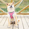 thumbnail image 7 of Mosey Durable Pet Vest Leash Set Solid Color   Pet Supplies   Wear-resistant, 7 of 7
