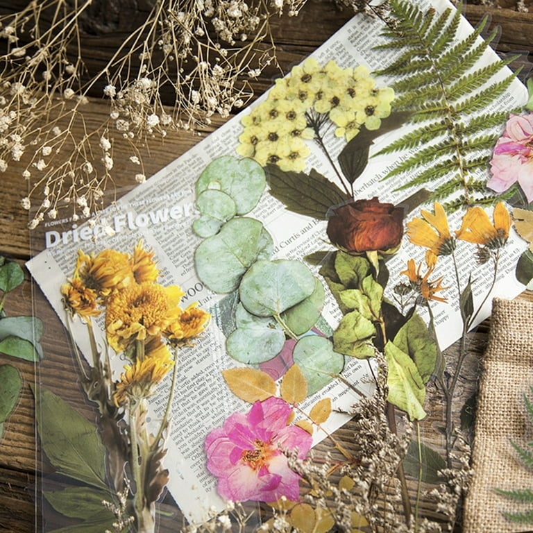 Pressed Flower Sticker Sheet, Eco Stickers, Cottagecore Journal