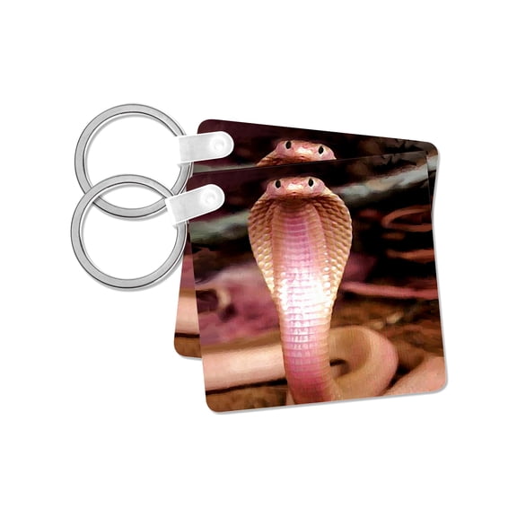 3dRose, Albino Siamese Cobra, set of 2 Key Chains