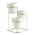 thumbnail image 1 of Soporte metálico para plantas, para interior y exterior, para jardín, maceta para suculentas y cactus. Oro A, 1 of 7