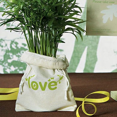 Love Bug Organic Cotton - Weddingstar 9070 ECO Mini Drawstring Bag made of 100% Organic Cotton - Green LOVE Print
