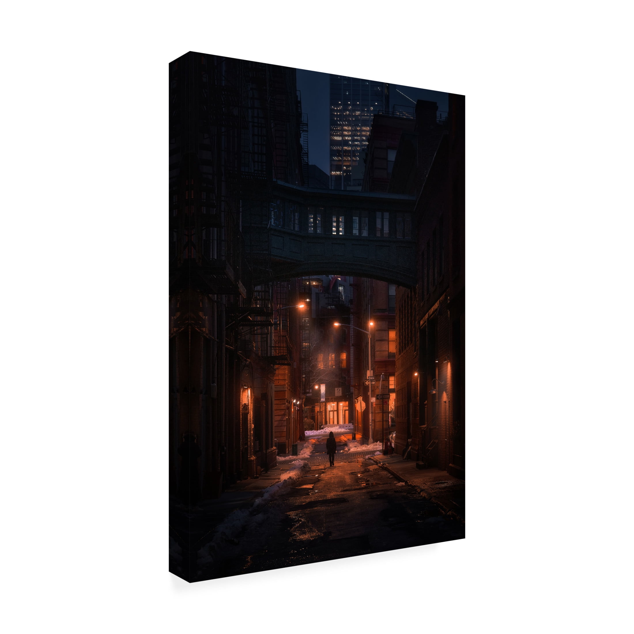 Trademark Fine Art Javier de la Under the Skybridge Canvas Wall Art