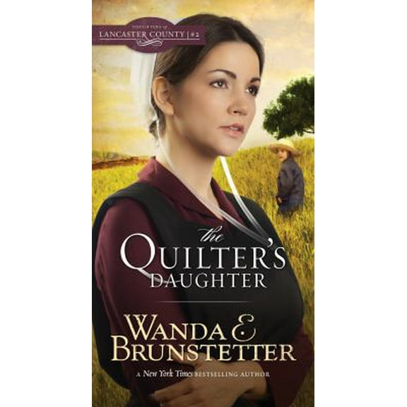 Pre-Owned The Quilter's Daughter: Volume 2 (Paperback) by Wanda E Brunstetter