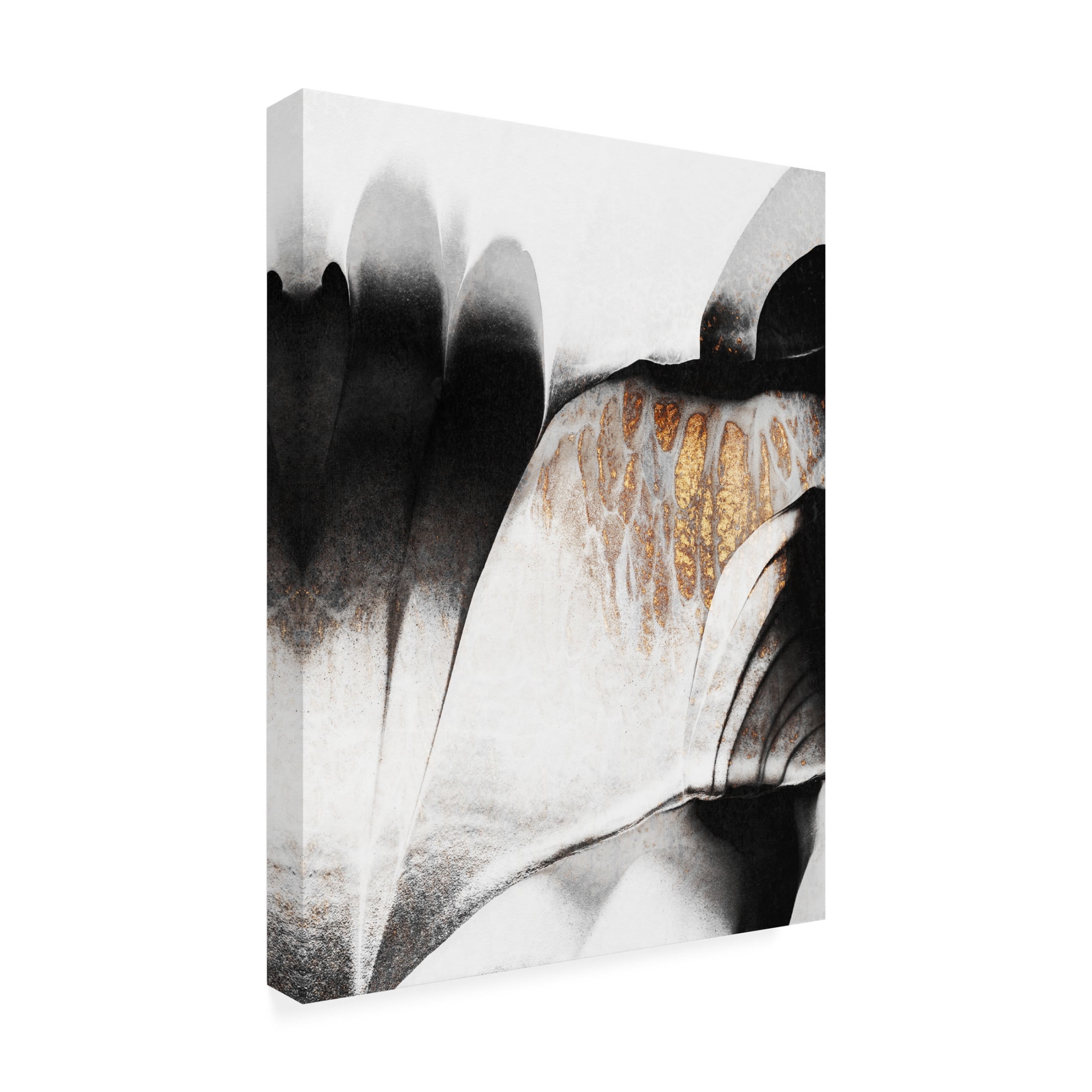 Trademark Fine Art Elisabeth Fredriksson Gold Veins Canvas Wall Art