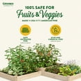 thumbnail image 3 of Greenes Fence Original 48" x 144" x 10.5" Beige Pine and Wood Raised Garden Kit, 3 of 8