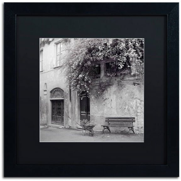 Trademark Fine Art "Liguria I" Canvas Art by Alan Blaustein, Black Matte, Black Frame