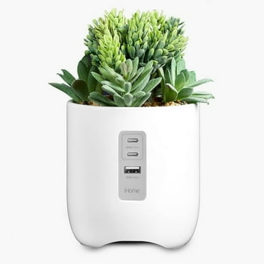 iHome PowerPlant Charging Station, Faux Succulent with USB Charging Station – White (iPP45)