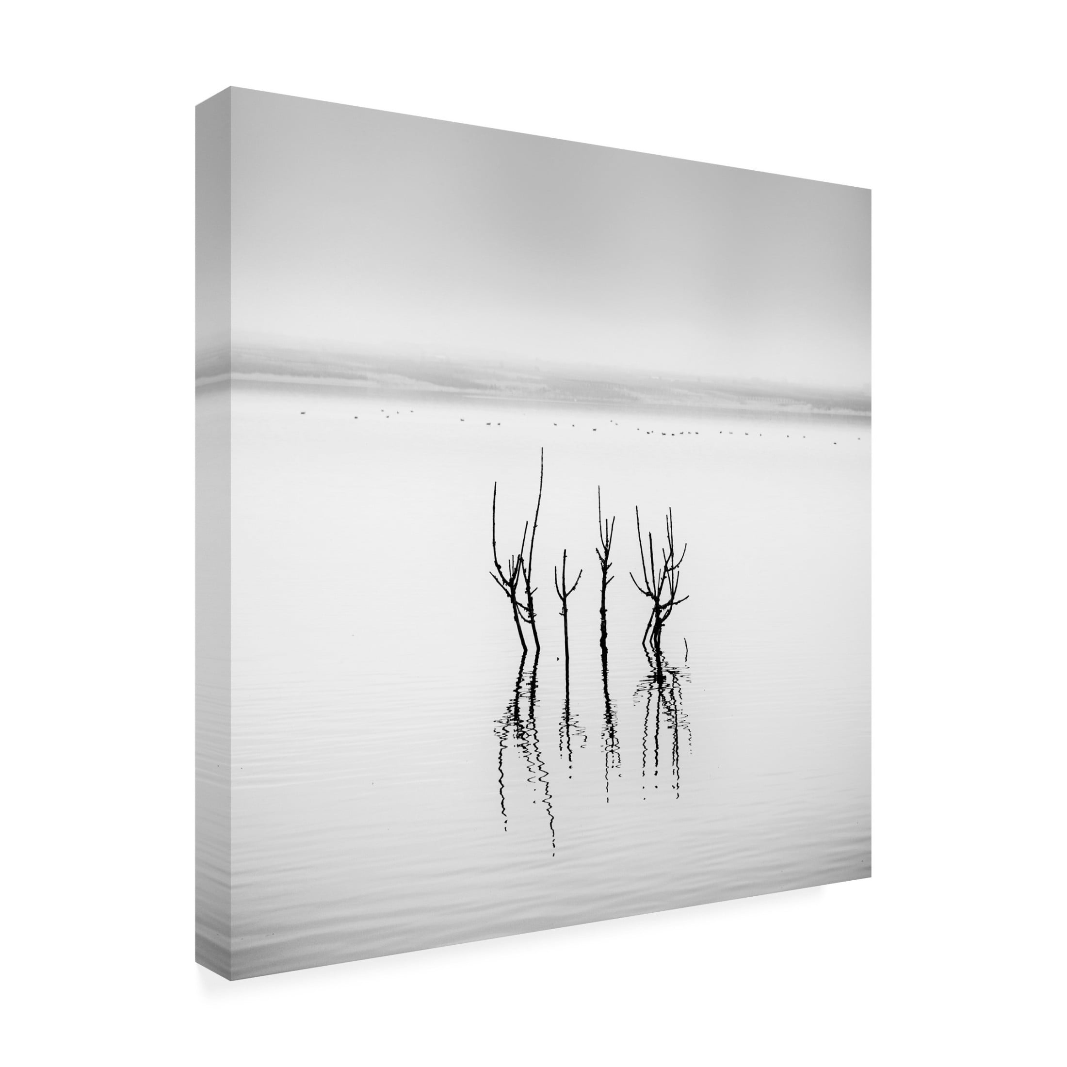 Canvas Wall Art - George Digalakis 'Vegoritida Lake 005' Wall Art for Living Room, Bedroom, or Office Décor by Trademark Fine Art - 18 x 18 Inches