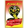 Cobra Kai - Be Strong Wall Poster, 14.725" x 22.375", Framed