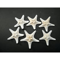 Set of 6 White Knobby Starfish for Beach Wedding Crafts and Decor 2"- 3" Nautical Coastal Beach Cottage Decor