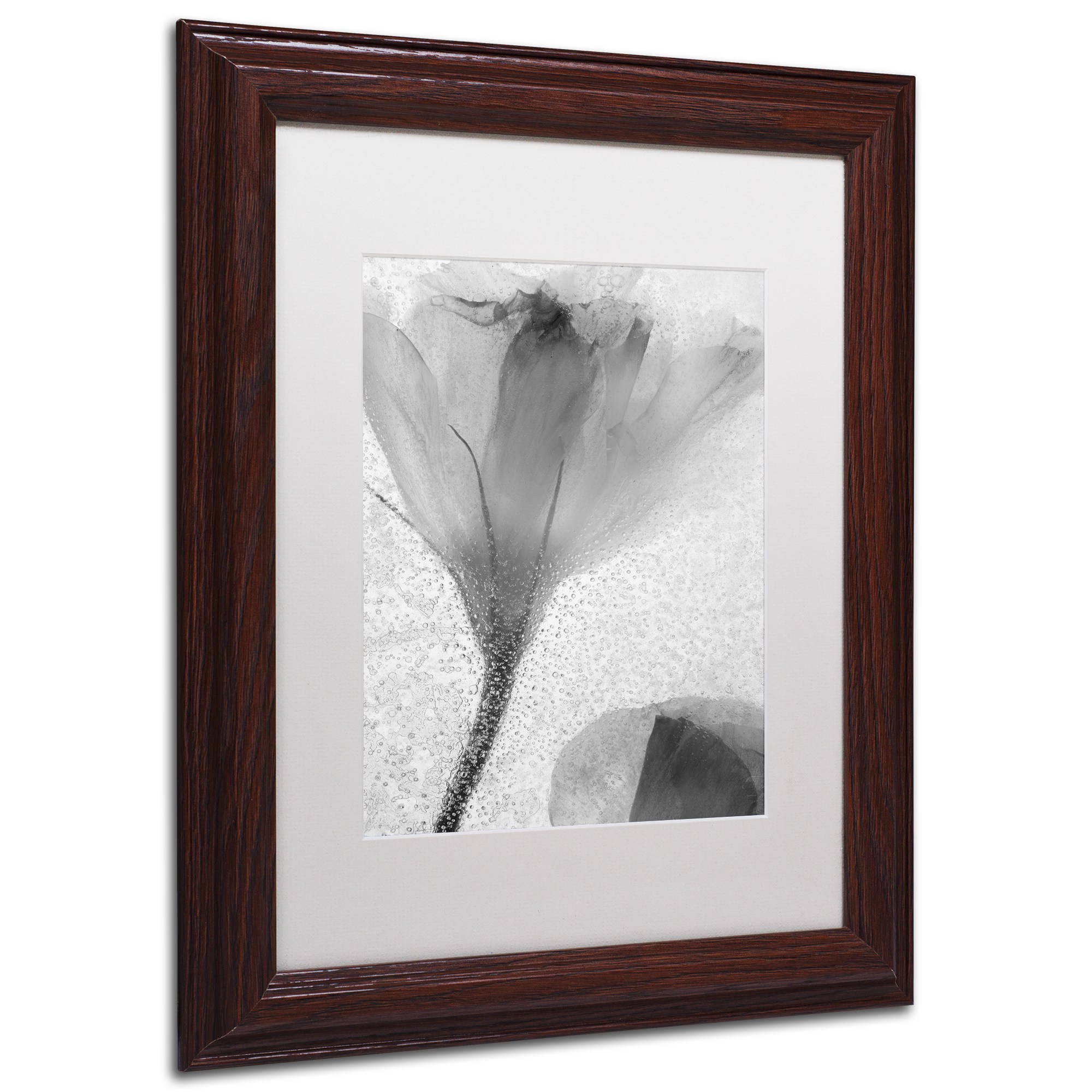 Moises Levy 'Flowers on Ice-13' Matted Framed Art