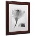 thumbnail image 3 of Moises Levy 'Flowers on Ice-13' Matted Framed Art, 3 of 5