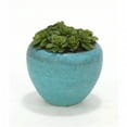 thumbnail image 1 of Distinctive Designs International 2849 Poule et Poulet dans Grand Pot Turquoise - Lot de 2, 1 of 1