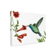 thumbnail image 2 of Trademark Fine Art 'Hummingbird And Flower I' Canvas Art by Grace Popp, 2 of 4