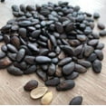 thumbnail image 4 of Black Melon Seeds Roasted and Salted One Bag NT. WT. 16oz, 4 of 5
