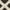 Brown/Ivory, variant on SAFAVIEH Dhurrie Brianna Geometric Moroccan Wool Area Rug, Light Green/Ivory, 3' x 5'