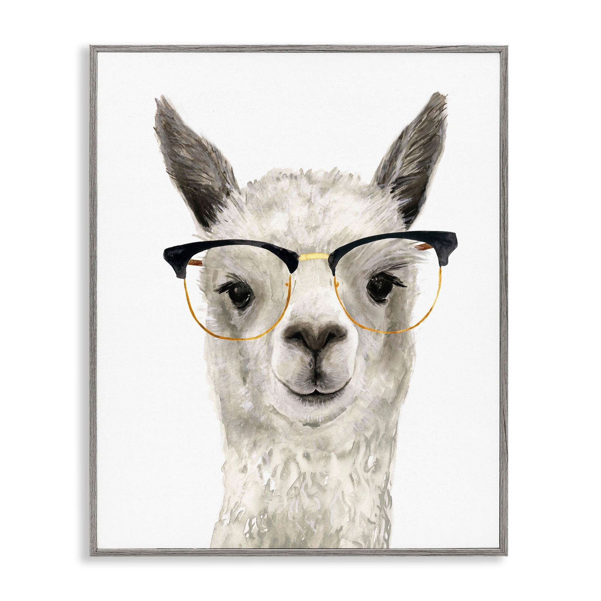 Stupell Industries Farm Animal Llama In Glasses Animals & Insects Painting Gray Framed Art Print Wall Art