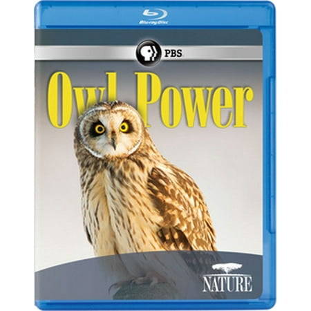 Nature: Owl Power (Blu-ray)