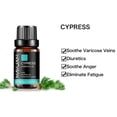 thumbnail image 3 of MAYJAM 100% Pure & Natural Cypress Essential Oil for Aromatherapy & Diffuser - 10ml, 3 of 5