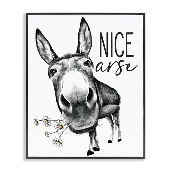 Stupell Industries Eclectic Nice Arse Funny Donkey Pun White Daisey Flowers Black Framed Giclee Art, 11 x 14, by Lettered and Lined