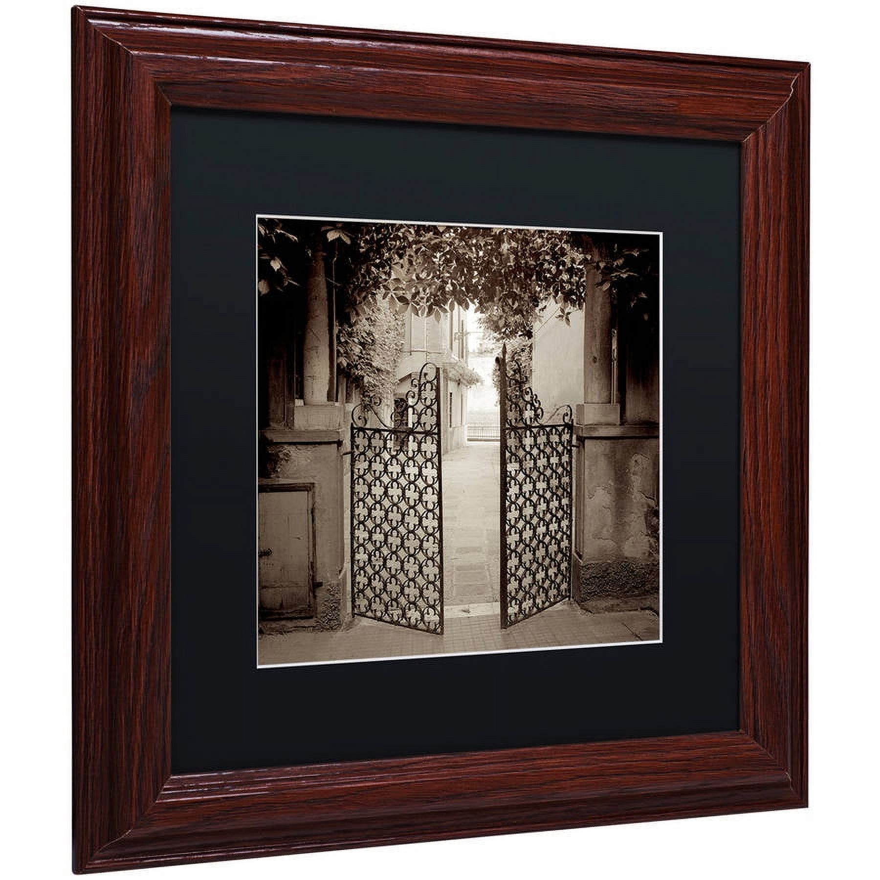 Trademark Fine Art "Venezia V" Canvas Art by Alan Blaustein, Black Matte, Wood Frame