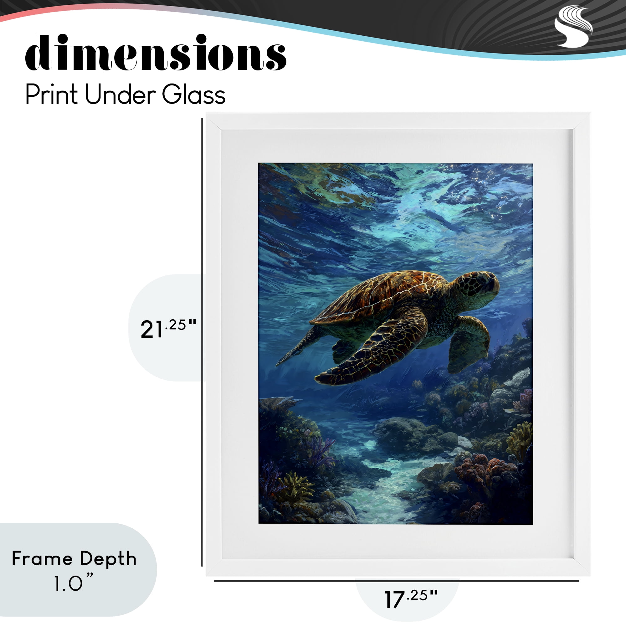 Stupell Industries Oceanic Adventurer Tortoise White Framed Print Under Glass, design by Franklyn Gregory