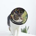 thumbnail image 1 of African Woman Soft Cat Dog Recovery Collar Adjustable Cat Cone Wound Healing Protective After Surgery for Kitten and Small Dogs, 1 of 1