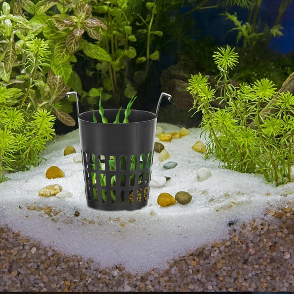 YSNOOWE 6Ud Cestas Hidropónicas Negras De Plástico Anticorrosión Para Plantación En Casa