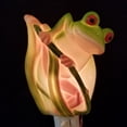 thumbnail image 1 of Frog Night Light, 1 of 1