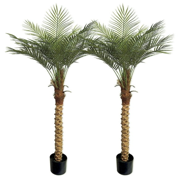 5ft Artificial Palm Tree,Realistic Fake Potted Palm for Home Office Patio Decor(set of 2)