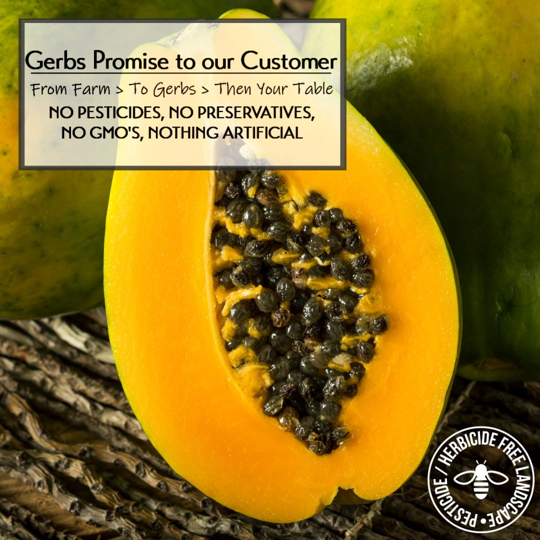 GERBS Dried Papaya Cubes 2 lb | Freshly Dehydrated Resealable Bulk Bag | Top Food Allergy Free | Sulfur Dioxide Free Diced Pieces | Gluten & Peanut Free