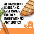 thumbnail image 6 of Beyond Purina Organic Wet Dog Food, Organic Chicken & Carrot Adult Recipe Ground Entrée with Broth, 13 oz. Can (1 Pack), 6 of 9