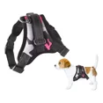 thumbnail image 1 of Pechera Arnes De Seguridad Para Perro,ajustable Y Comoda, 1 of 4