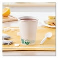 thumbnail image 3 of Compostable Paper Hot Cups, ProPlanet Seal, 12 oz, White/Green, 50/Pack, 3 of 8